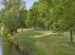 duizendblad135345kwoss-40-SLE-20250520080241