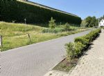 img_1774-EDO-20250613124241