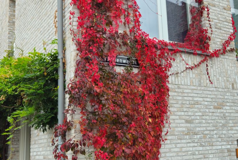 Afbeelding De Vloeienwacht 8, 6211 XL Maastricht : 9