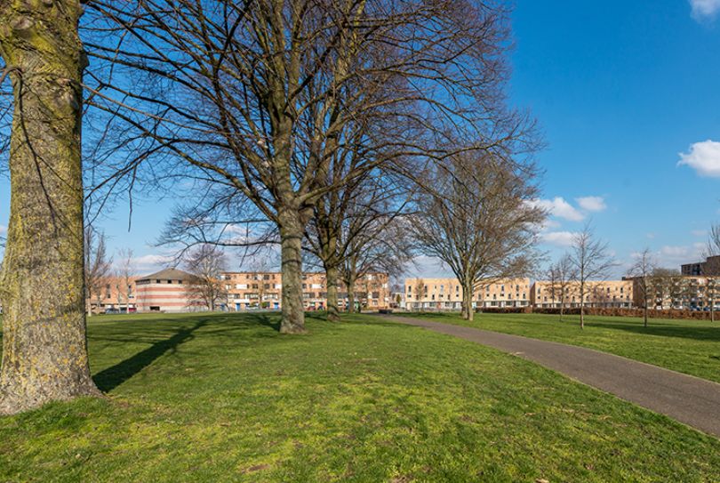 Afbeelding Tamboerijnstraat 87, 6217 VZ Maastricht : 19