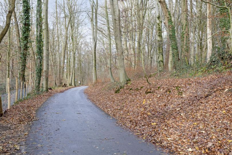 Afbeelding Cornelis Houtmanstraat 7, 6991 BD Rheden : 27