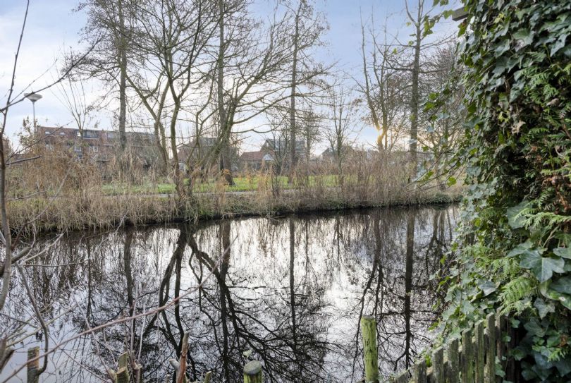 Afbeelding Waterlelie 22, 2804 PV Gouda : 39