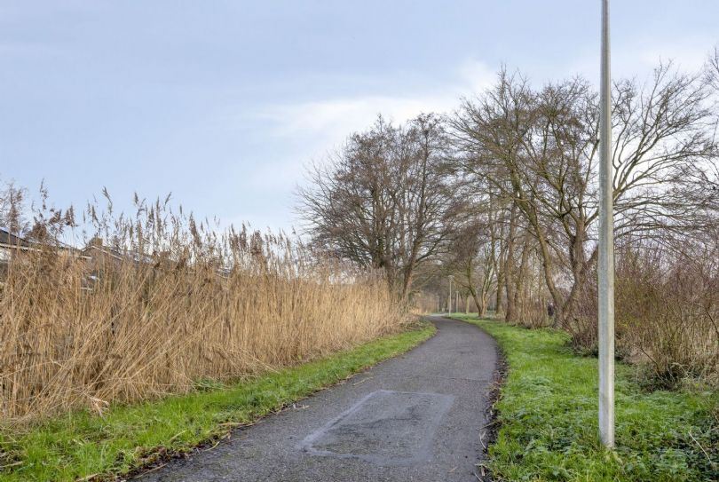 Afbeelding Waterlelie 22, 2804 PV Gouda : 40