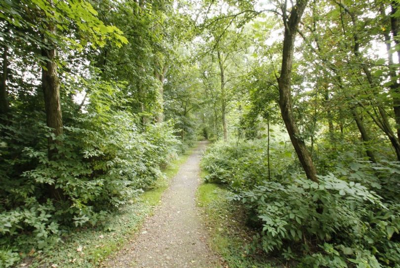 Afbeelding San Cristobaldreef 34, 3563 SZ Utrecht : 3