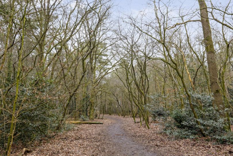 Afbeelding Jacob van Campenlaan 210, 1222 KS Hilversum : 23