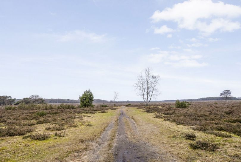 Afbeelding Jacob van Campenlaan 210, 1222 KS Hilversum : 22