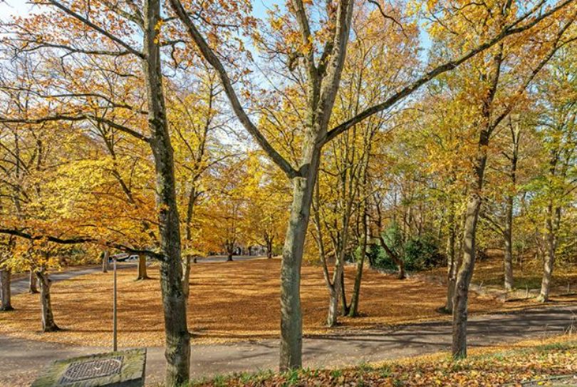 Afbeelding Mathieu Kesselserf 37, 6416 EB Heerlen : 8