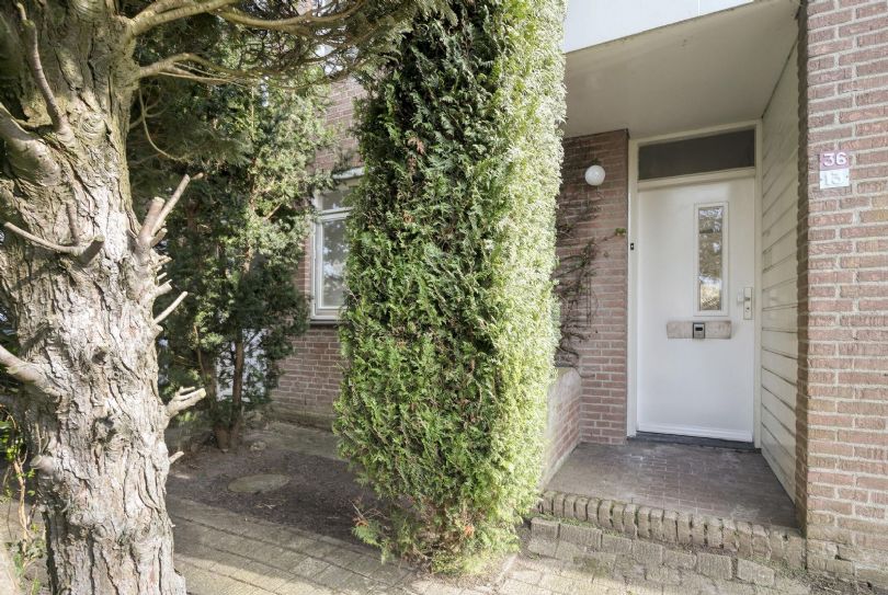 Afbeelding Botter 36 13, 8243 KS Lelystad : 4