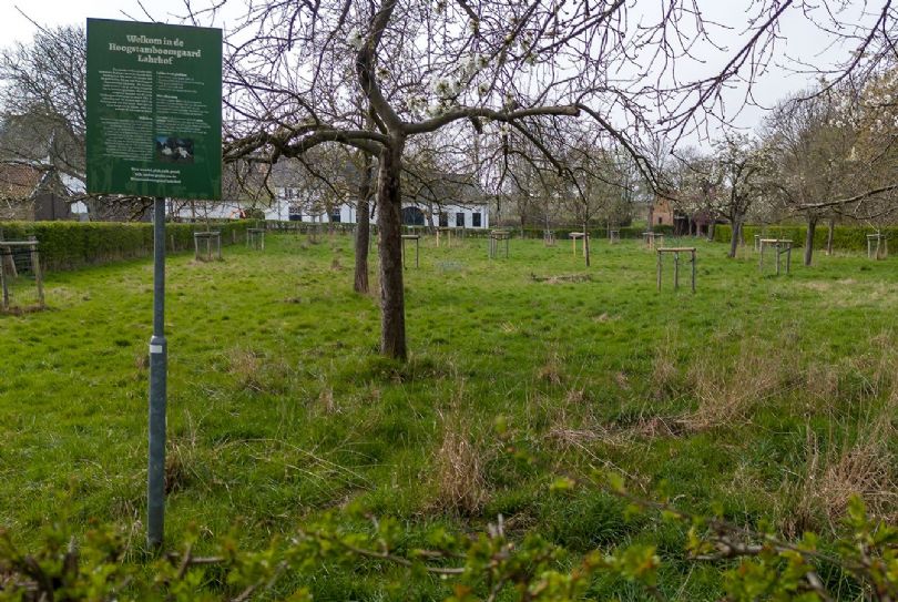 Afbeelding Bloemendalerhof 6, 6132 SE Sittard : 25