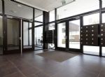 17-hal-YDO-20190703143127