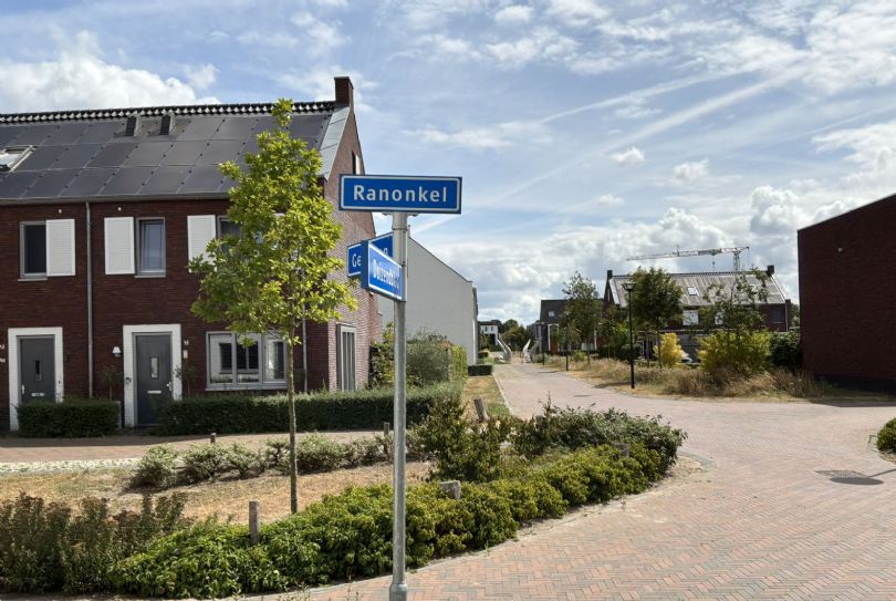 Afbeelding Ranonkel 41, 5251 ZW Vlijmen : 6