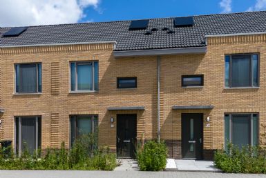 apartments for rent on Cor Ditewegstraat 16