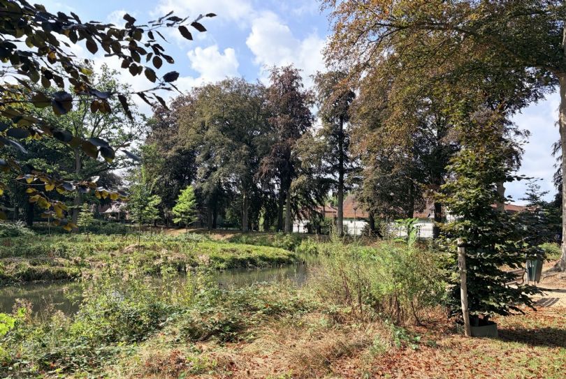 Afbeelding Leemkuilen 19, 6081 GS Haelen : 5