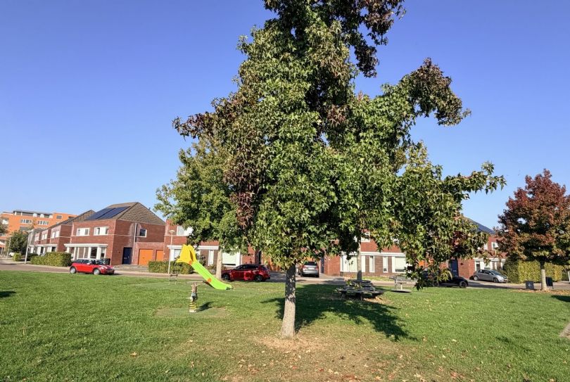 Afbeelding Tessmanstraat 39, 6135 JP Sittard : 3