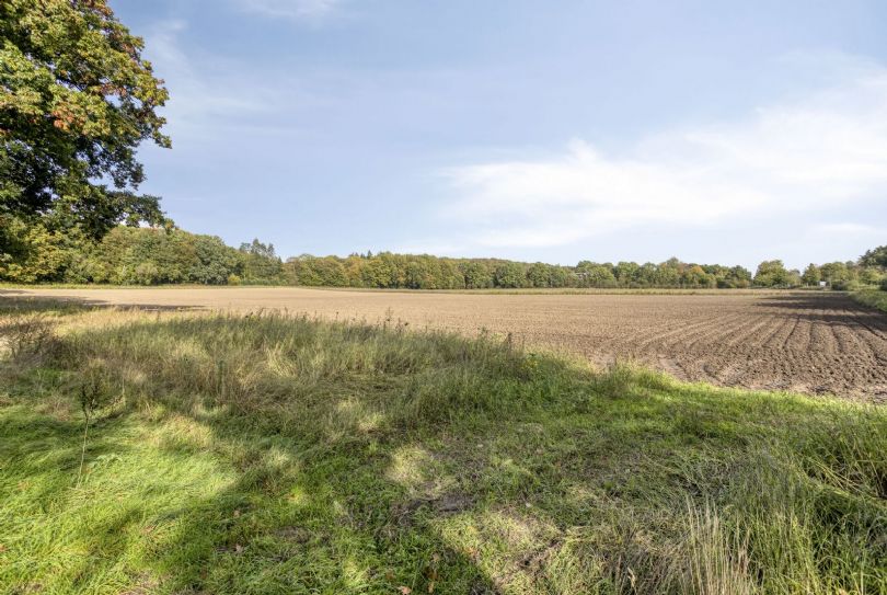 Afbeelding Willem Barentszstraat 17, 6991 BA Rheden : 33